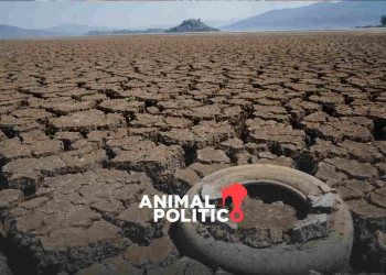 Sequía pega al 41% de México; proponen captar lluvia en todo el país