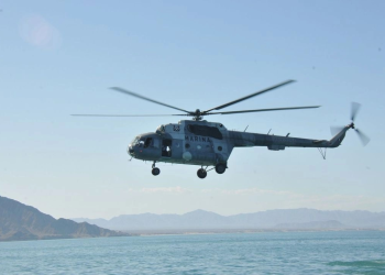 Pesca ilegal rebasa medidas de conservación de totoabas y vaquita marina