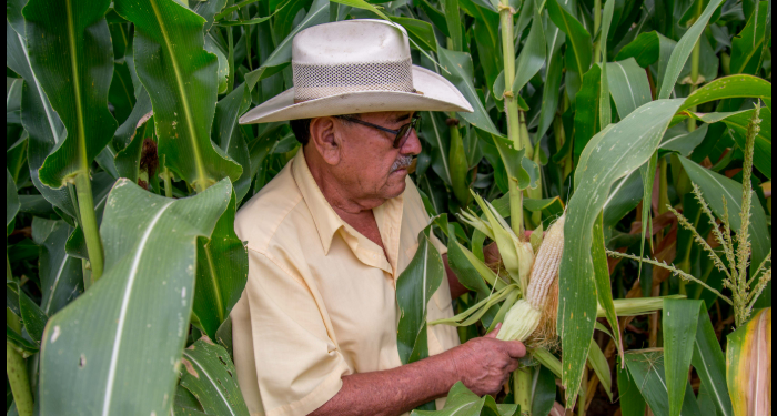 Presidenta Sheinbaum, recuperemos la soberanía para resguardarla: FNRCM
