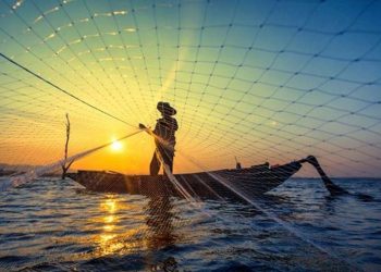 Sonora el principal estado pesquero de México