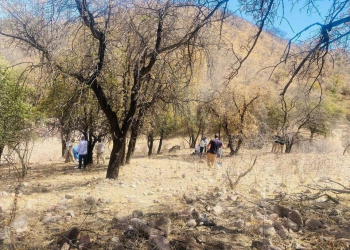 Colectivo de buscadoras reporta hallazgo de un cuerpo sin vida en la frontera de Sonora