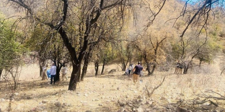 Colectivo de buscadoras reporta hallazgo de un cuerpo sin vida en la frontera de Sonora