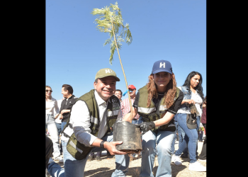 Reconocen gobierno de Toño Astiazarán por arborización e innovación en el cuidado de árboles