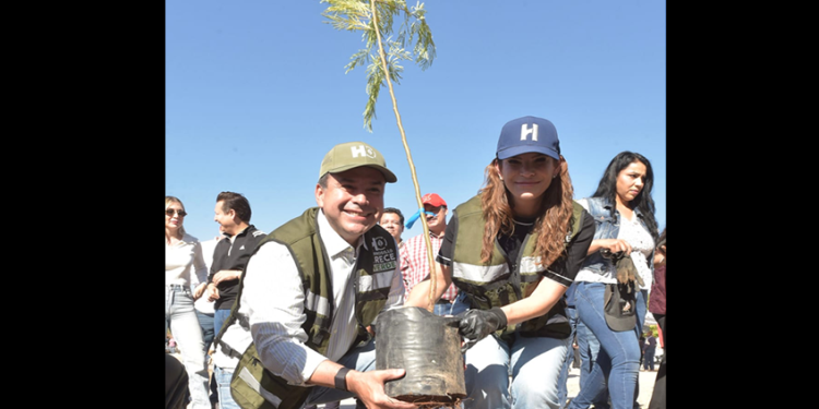 Reconocen gobierno de Toño Astiazarán por arborización e innovación en el cuidado de árboles