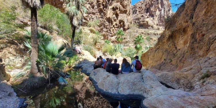 “El Cañón de Nacapule”, un oasis en el desierto de Sonora ideal para visitar en Semana Santa