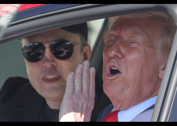 Trump: Detenidos por atacar a Tesla ‘deberían ir a cárceles de El Salvador; famosas por sus agradables condiciones’