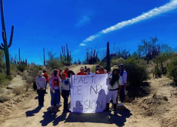Líder de “Guerreras Buscadoras”, Silvia Velázquez, anuncia retiro temporal a su activismo en Sonora