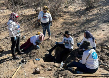 También hay narcofosas en Sonora