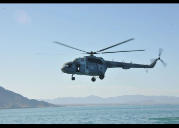 Pesca ilegal rebasa medidas de conservación de totoabas y vaquita marina