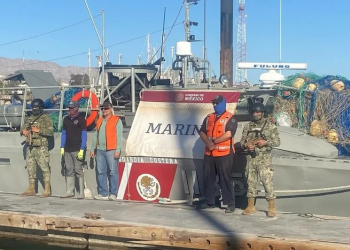 Semar retira 6 mil metros de redes en la Reserva del Alto Golfo de California; libera a dos tortugas