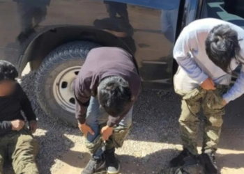 Dos Menores de Edad Detenidos Transportando Migrantes Hacía Estados Unidos Desde Sonora