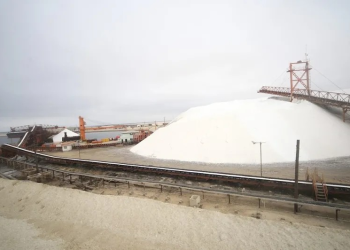 Por nacionalización de exportadora de sal en México, empresa japonesa se lleva clientes