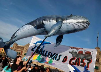 Proyecto Saguaro: el gasoducto que amenaza el Golfo de California