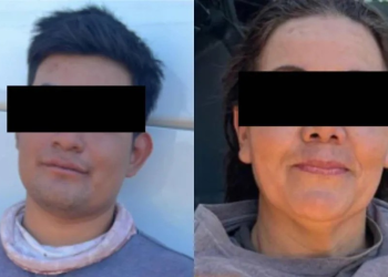 Pareja a Prisión por Engañar a Jornaleros y Cosechar Tomate en Campo Agrícola Ajeno de Guaymas