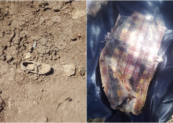 Activistas exigen que Santander deje de financiar proyecto de gas licuado en Sonora