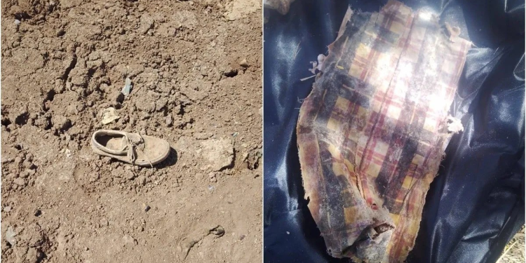 Activistas exigen que Santander deje de financiar proyecto de gas licuado en Sonora