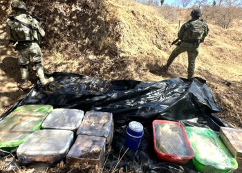 Golpes millonarios al narco en Sinaloa, Sonora y Quintana Roo: aseguran fentanilo y metanfetamina