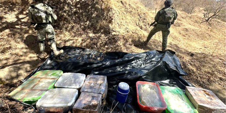 Golpes millonarios al narco en Sinaloa, Sonora y Quintana Roo: aseguran fentanilo y metanfetamina