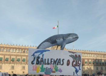 La agenda energética de Sheinbaum está en punto de mira mientras activistas mexicanos critican el megaproyecto de GNL