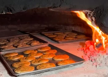 Las Tradicionales Coyotas Sonorenses Dentro del Top de las Mejores Galletas del Mundo