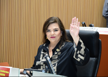 La diputada Gabriela Tapia Fonllem presentó un posicionamiento en conmemoración al mes de las y los niños.