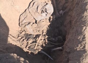 Madres Buscadoras descubren fosa clandestina en Altar