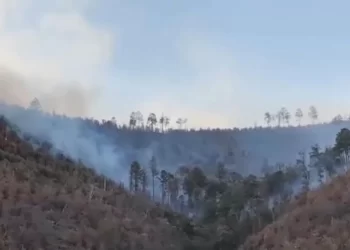 Incendio Forestal Ha Consumido 320 Hectáreas en Municipio de Nácori Chico