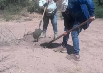 Hallan Cuerpo Sin Vida de Hombre en Predio Rumbo a Costa de Hermosillo