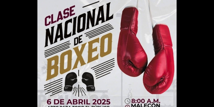 Gobierno de Sonora se suma al evento de box más grande de México: Froylán Gámez