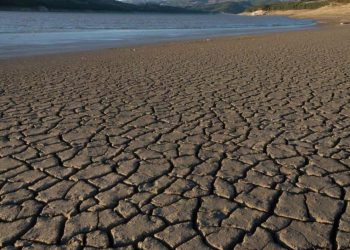 Sequía se extiende en el norte del país, estos son los estados más afectados