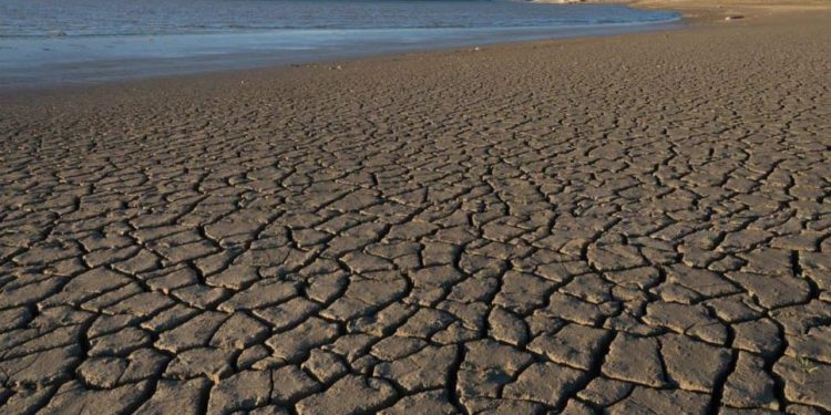 Sequía se extiende en el norte del país, estos son los estados más afectados