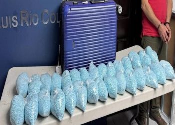 Aseguran más de 600 mil pastillas de fentanilo en Sonora