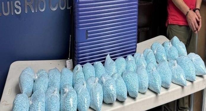 Aseguran más de 600 mil pastillas de fentanilo en Sonora
