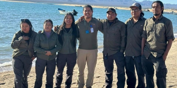 Nación Comca’ac establece reglas para la caza cinegética en la Isla del Tiburón