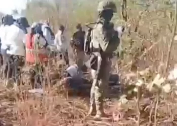 Encuentran Restos de 2 Hombres y Una Mujer en Fosa Clandestina en Cajeme