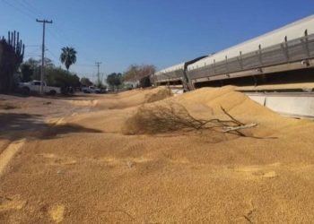 Descarrila tren en Navojoa, Sonora, no hay lesionados