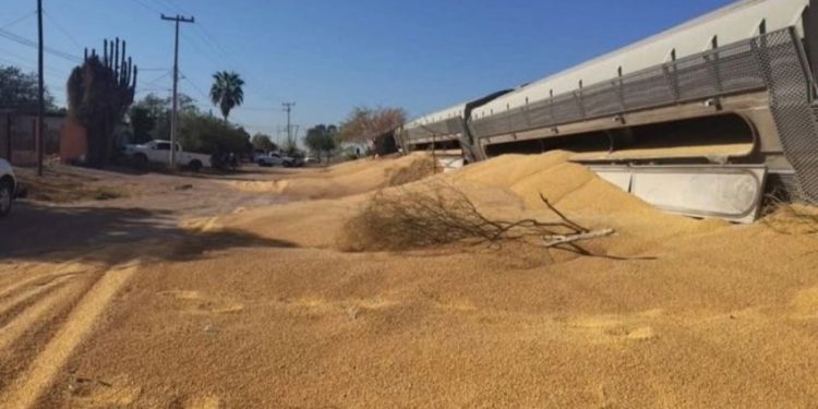 Descarrila tren en Navojoa, Sonora, no hay lesionados