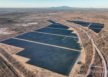 ¿Qué es necesario para que prosperen industrias clave del país? Te contamos