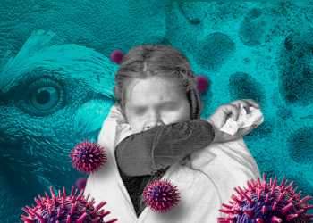 Detectan primer caso humano de influenza aviar en México; se trata de una niña de 3 años