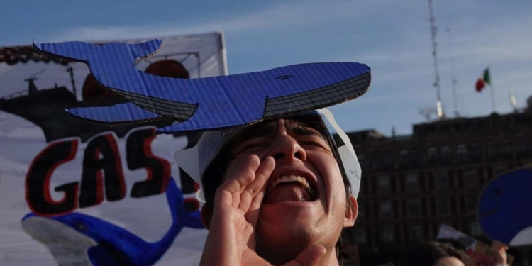 Organizaciones piden a De la Fuente frenar expansión gasera en el Golfo de California