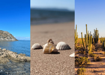 La playa de los caracoles en Sonora que debes visitar en esta Semana Santa 2025; ¿Cómo llegar?