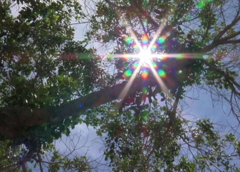 Hermosillo Registra Temperatura de 42º Centígrados Hoy 10 de Abril de 2025