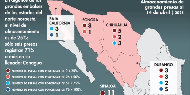 Afrontan sequía con bajos niveles en grandes presas
