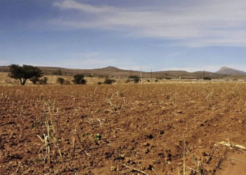 Sonora y Sinaloa Enfrentan una Severa Crisis Hídrica