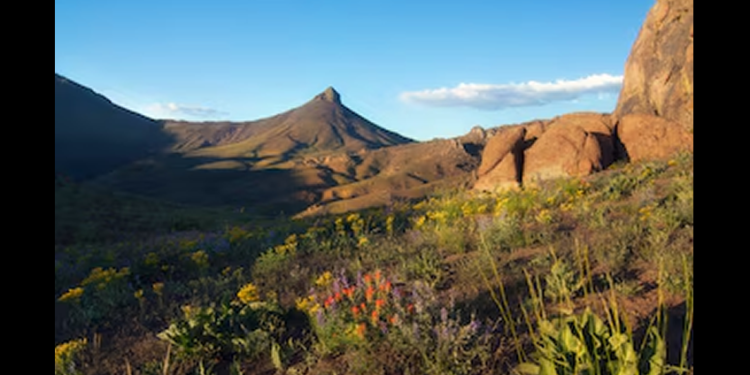 Este es el mayor depósito de litio del mundo y se encuentra bajo este supervolcán estadounidense
