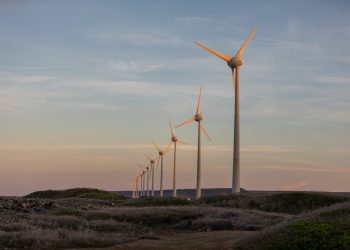 Sonora es líder en generación de energía