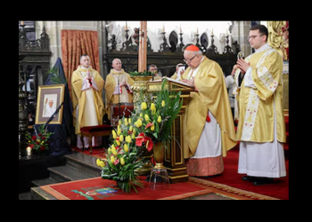 La lucha que se avecina para elegir al próximo Papa