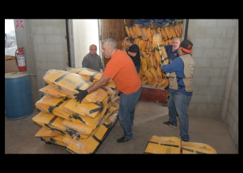 Llega material electoral para el proceso de elección de jueces y magistrados