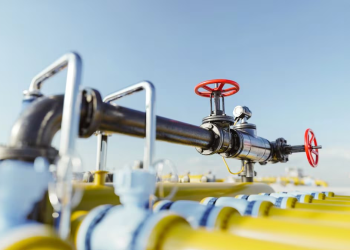 Alertan por daños con proyectos de gas licuado en el Golfo de California