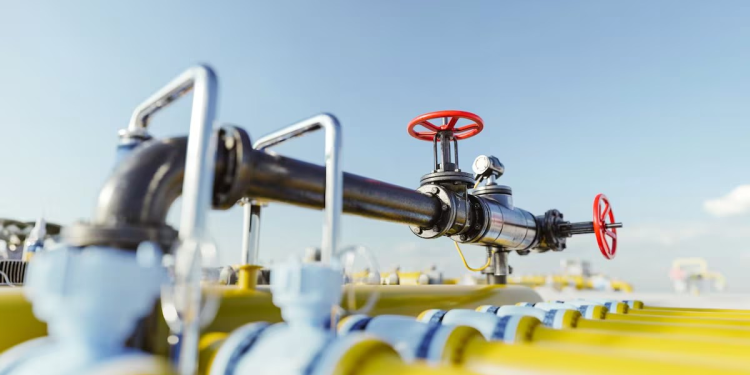 Alertan por daños con proyectos de gas licuado en el Golfo de California